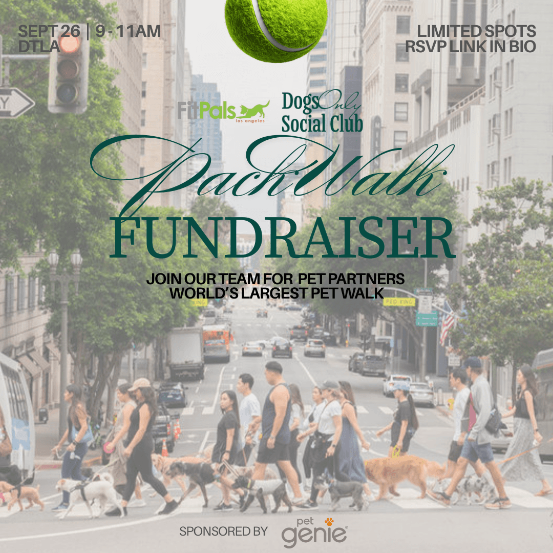 September Pack Walk Fundraiser