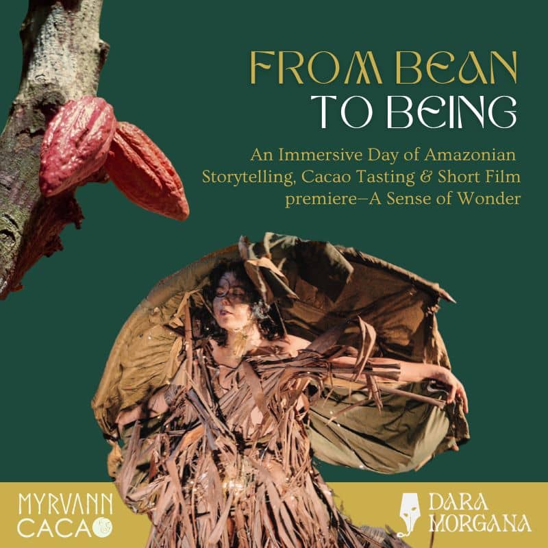 FROM BEAN TO BEING: backstories of cacao + short film premiere by Dara Morgana
