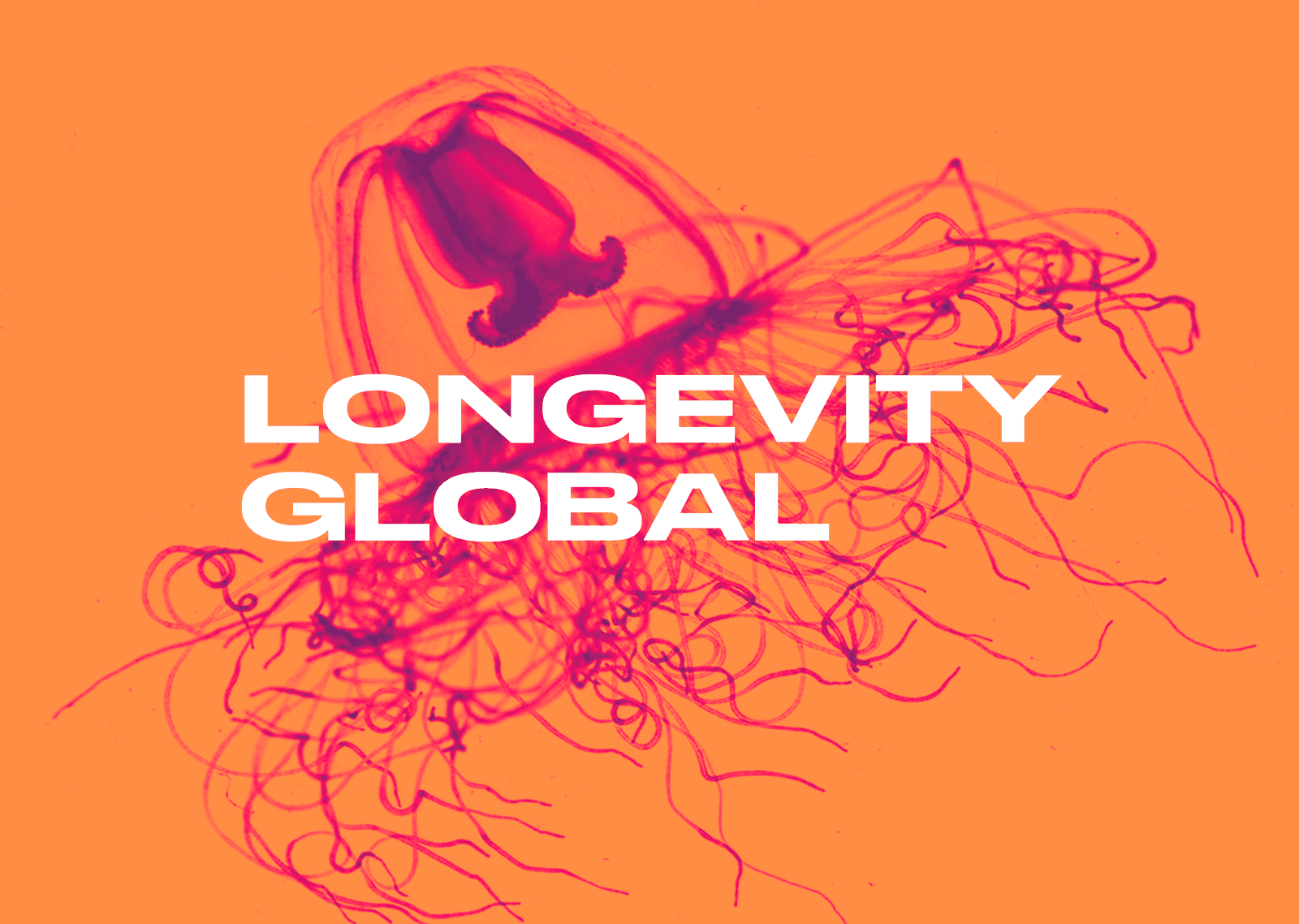 Longevity Chicago Happy Hour