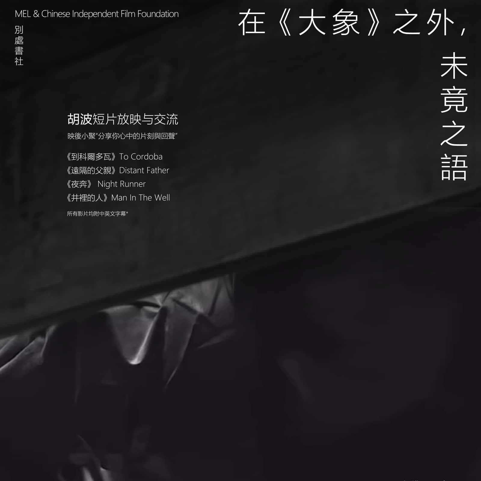 大象之外，未竟之语：胡波短片放映