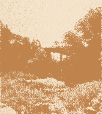 Walk With Watershed 02: Autumn