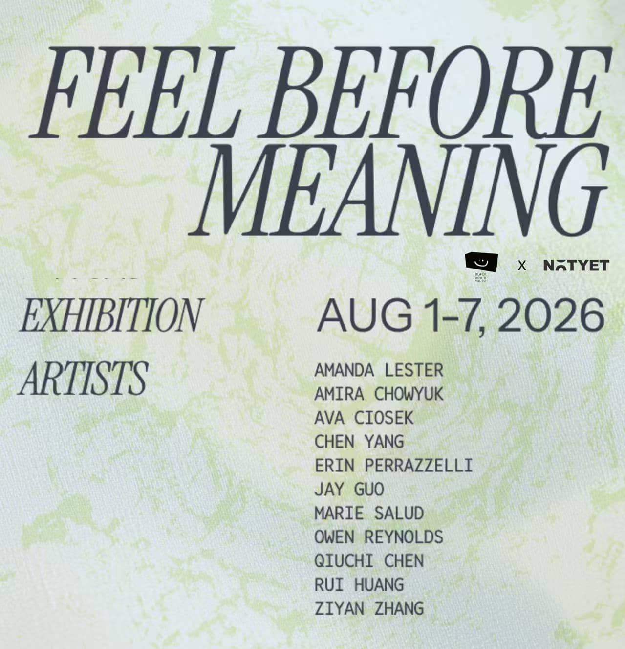 Feel Before Meaning— Exhibition Viewing