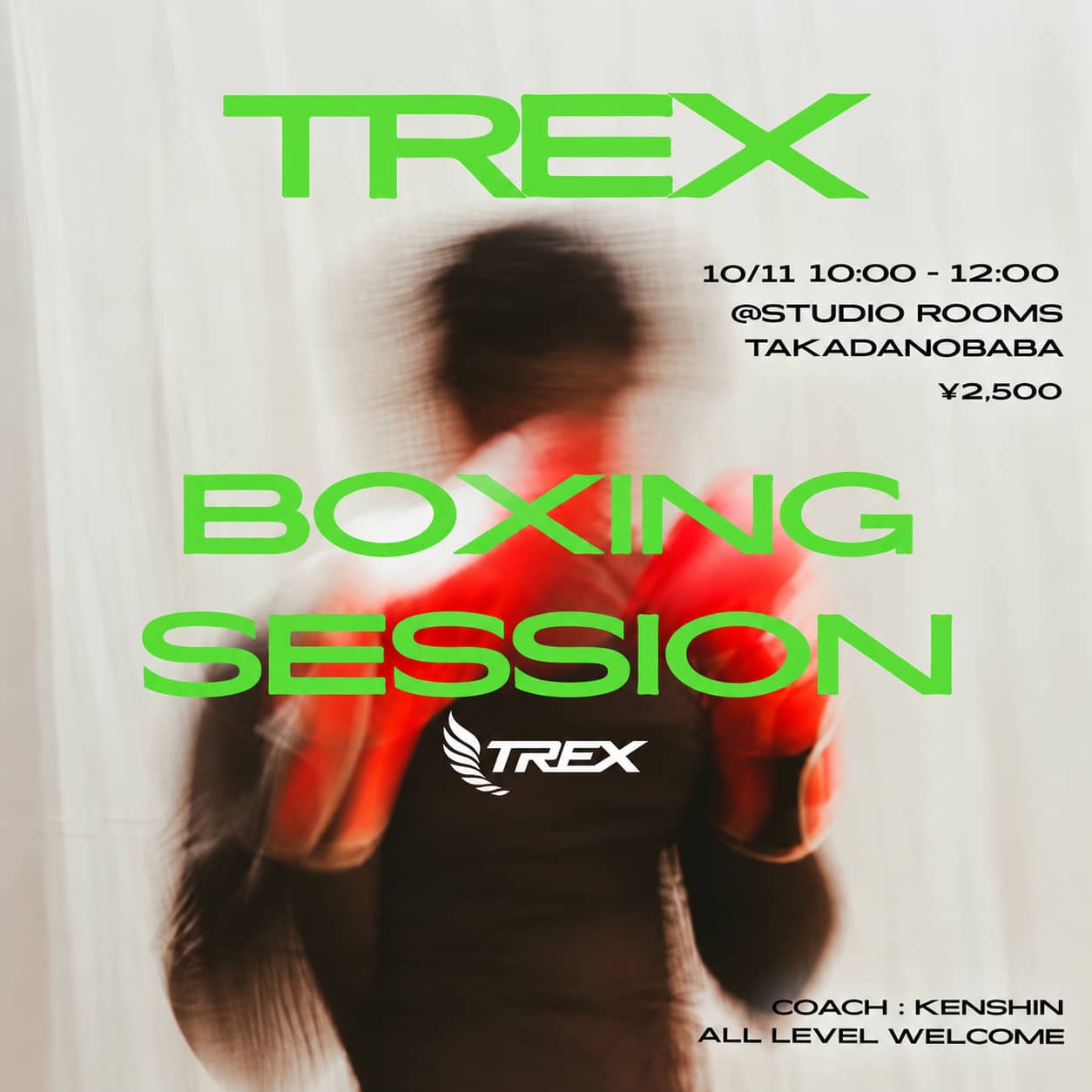 TREX MORNING BOXING SESSION