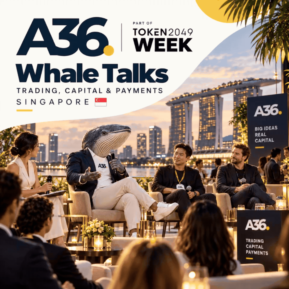 Whale Talks: Trading, Capital & Payments π³ πΈπ¬