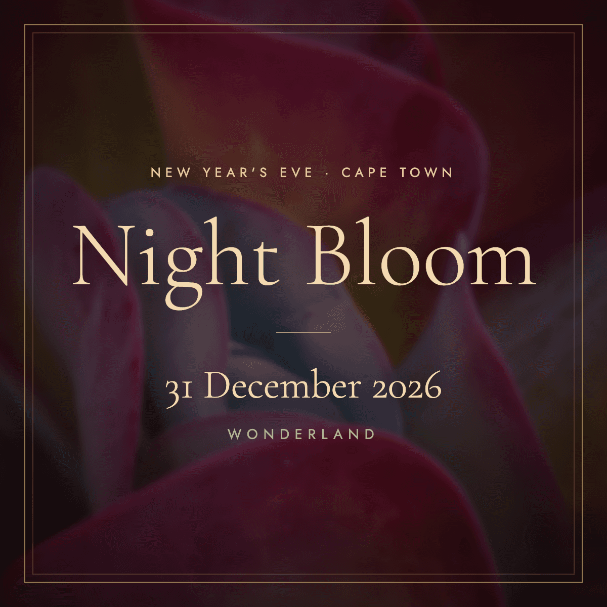 Night ✨ Bloom