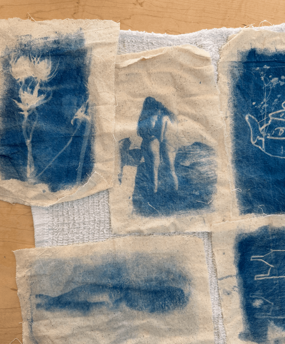Lindy & Light Cyanotype Workshop
