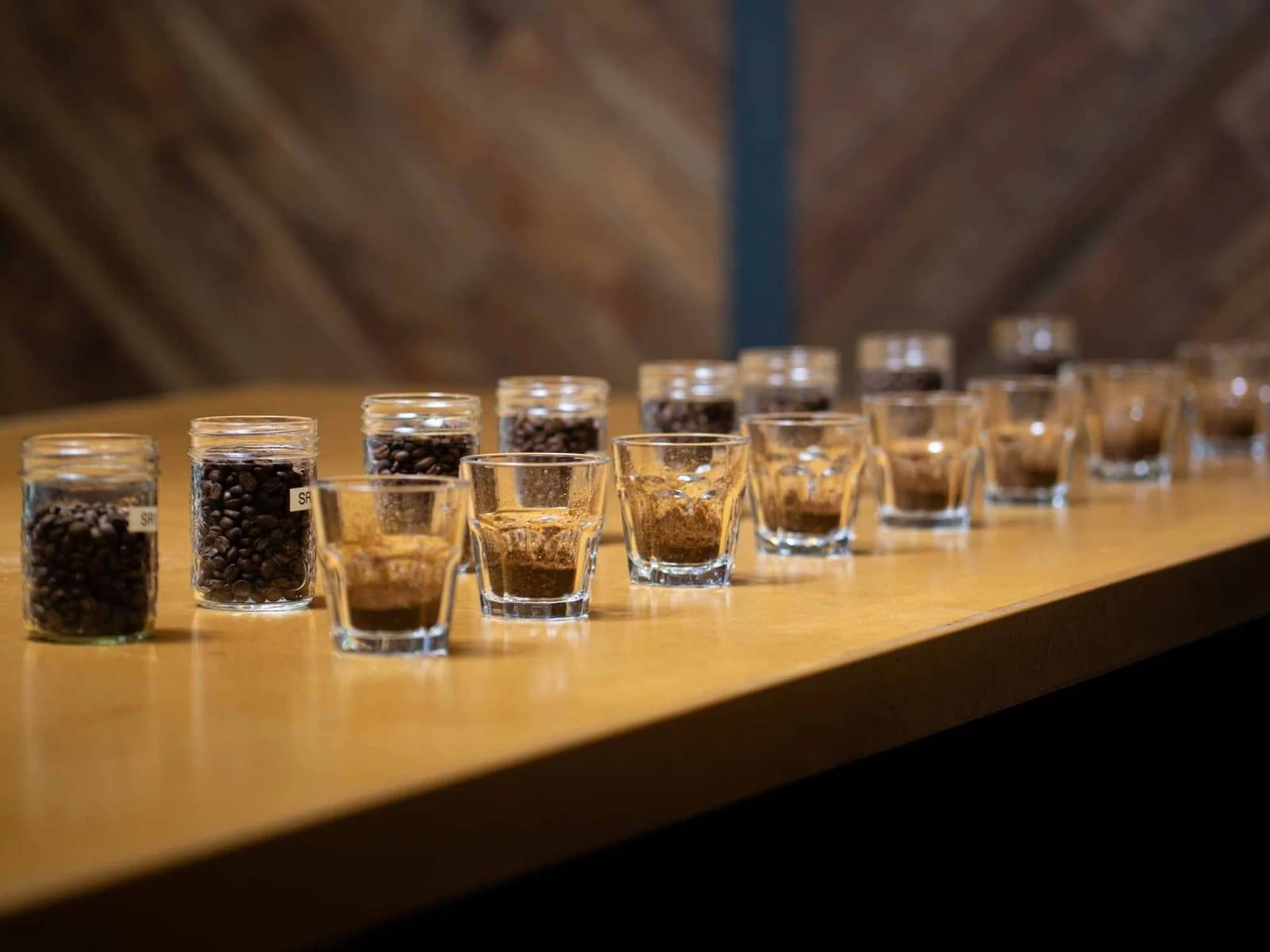 Free Public Cupping