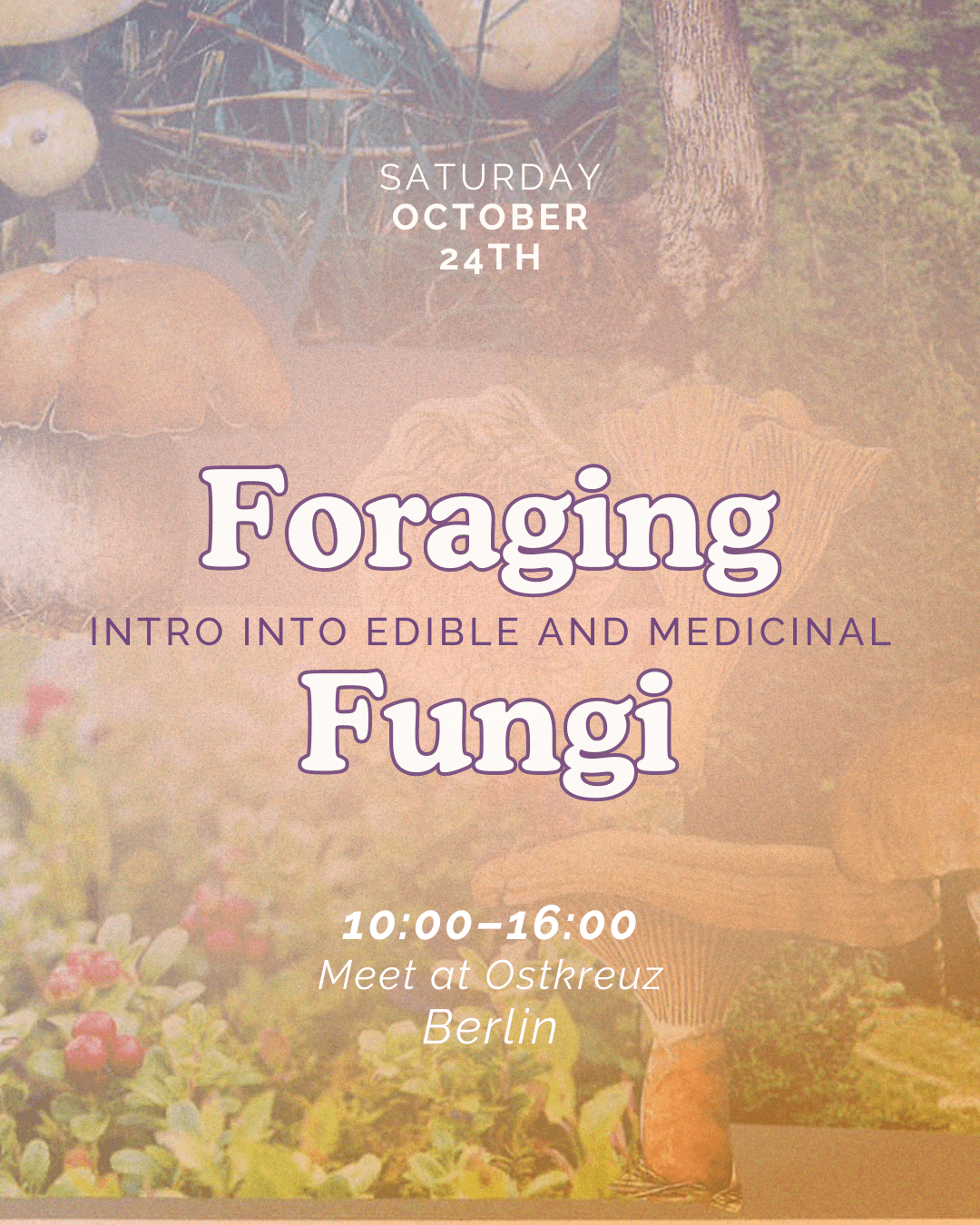 Foraging for Fungi – Meeting Mushrooms in Berlin and Brandenburg [in English]