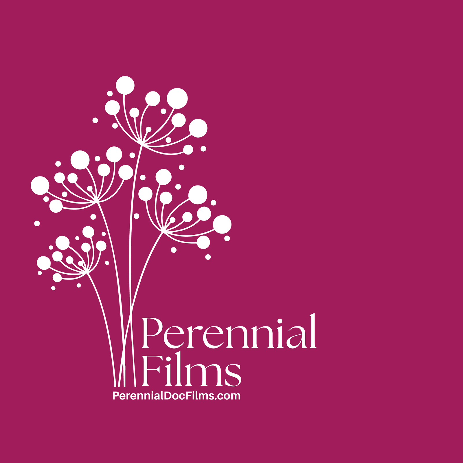 Perennial Films Premiere Party