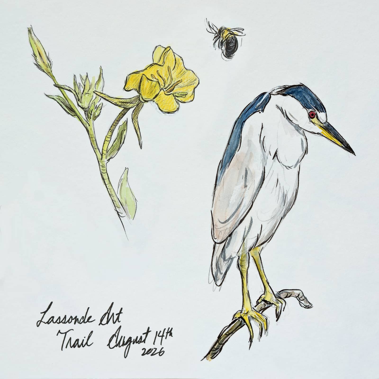 Sketch and Walk: Nature Sketching with Alan Li (Senior-friendly)