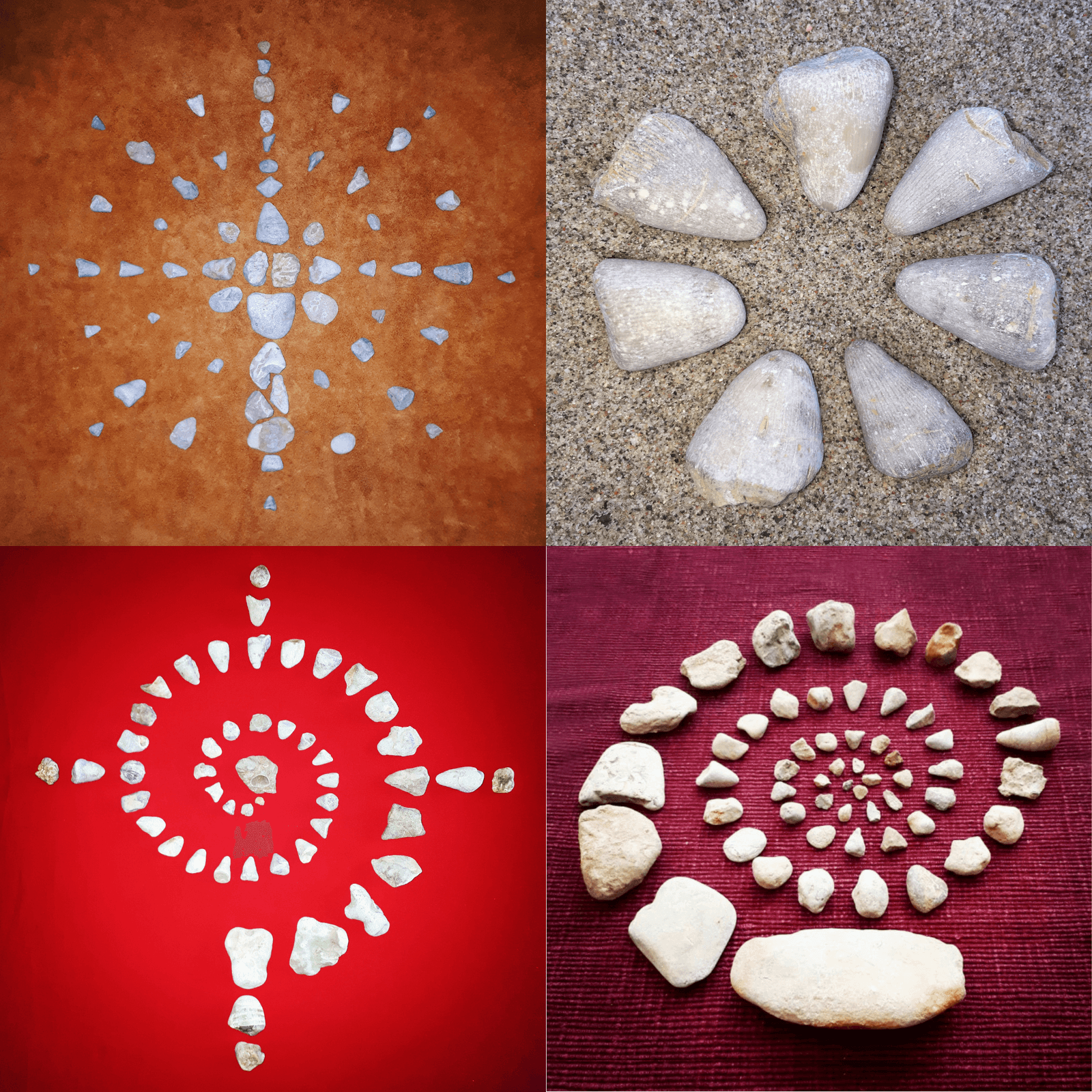 Atelier d'éco-art - Eco-Art Workshop