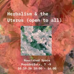 Herbalism & The Uterus (open To All)