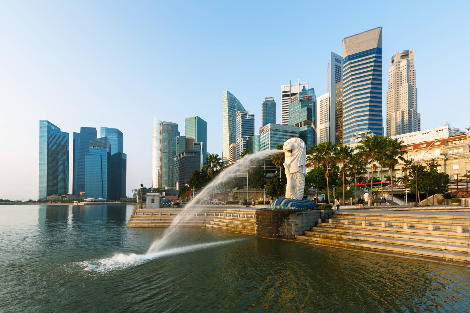 SWITCH Singapore 2026 Pre-Meetup Tokyo | シンガポールへ行く前に、東京でつながろう!