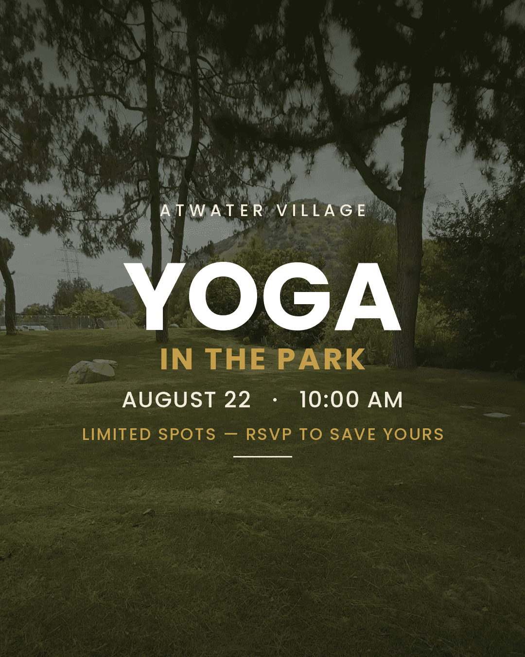 Atwater Village- Yoga in the Park