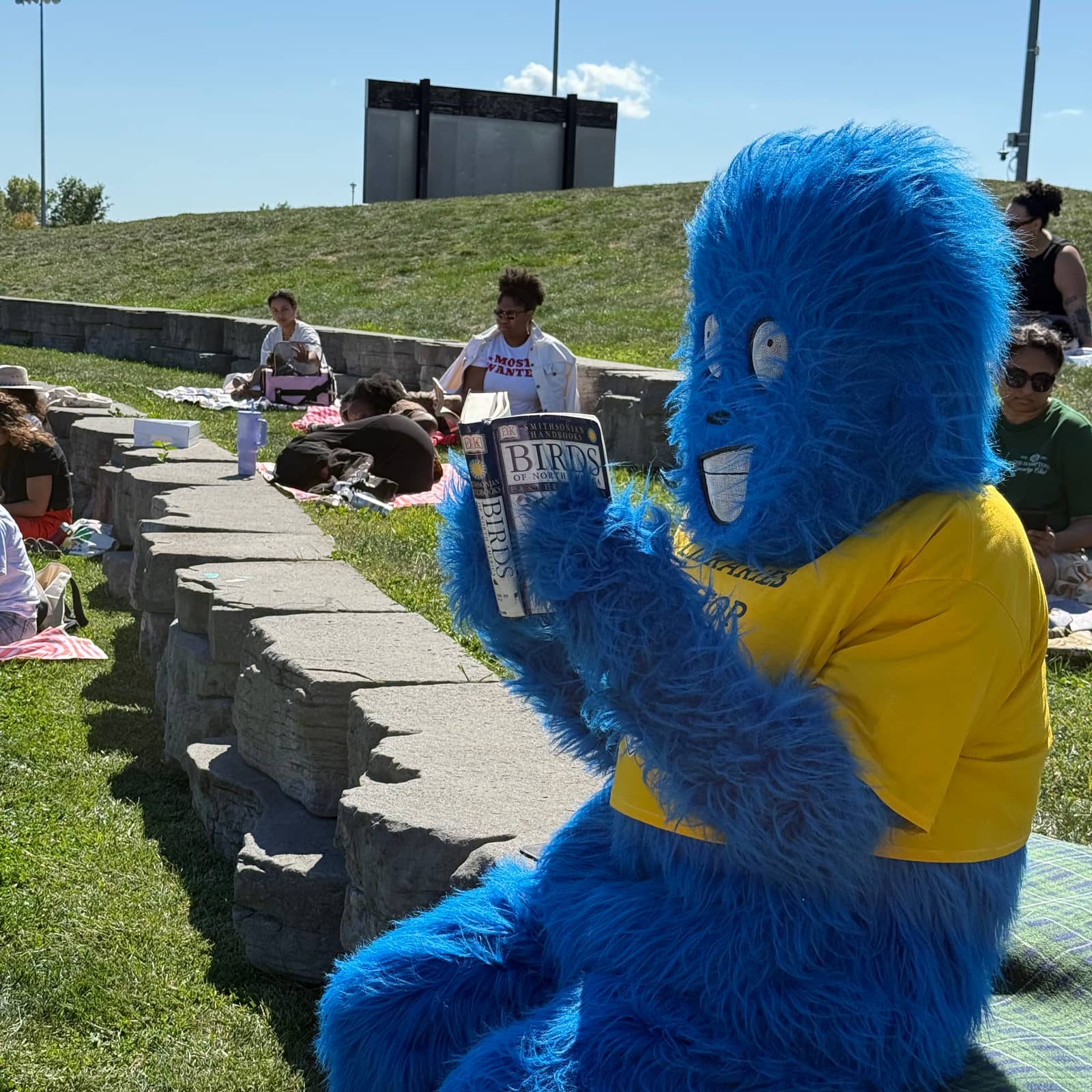 Pages In The Park