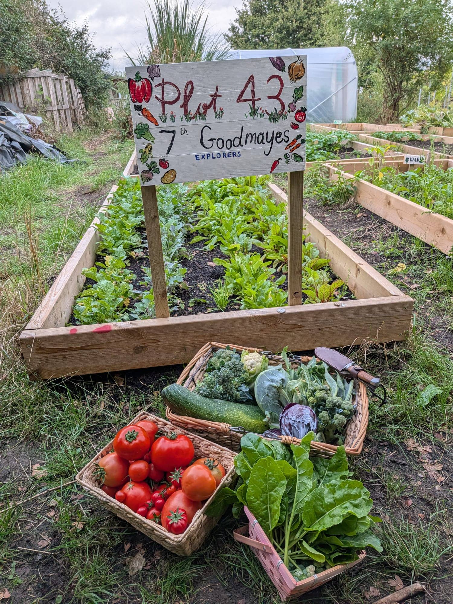 7th Goodmayes Explorer Community Allotment