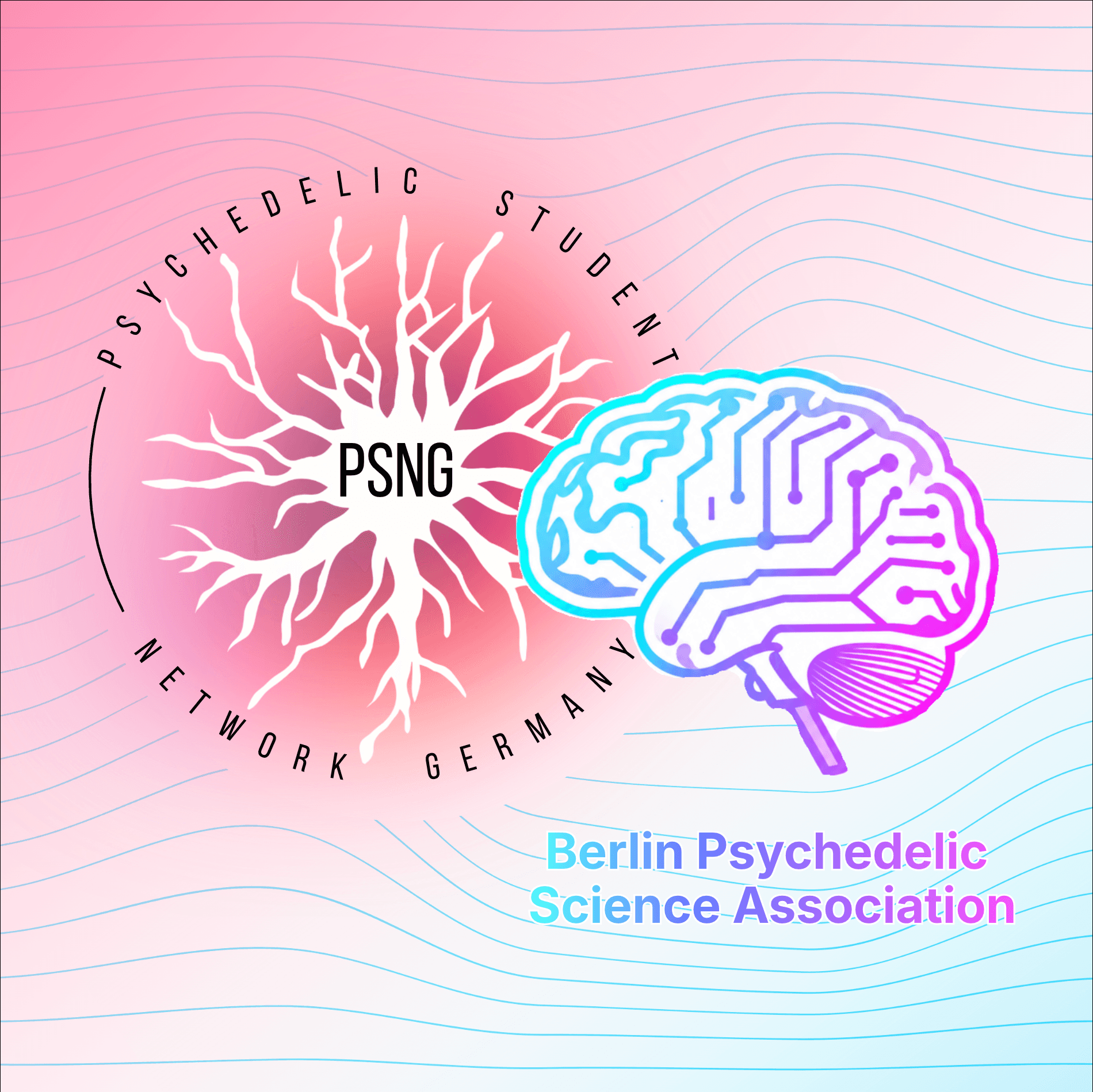 Ein Abend rund um Psychedelika — Forschung, Verbindung & Austausch