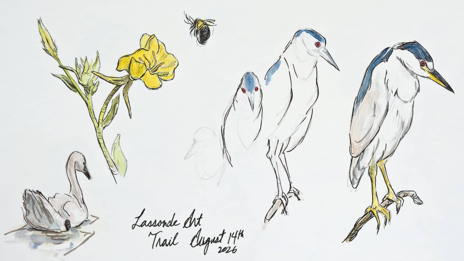 Sketch and Walk: Nature Sketching with Alan Li (Senior-friendly)