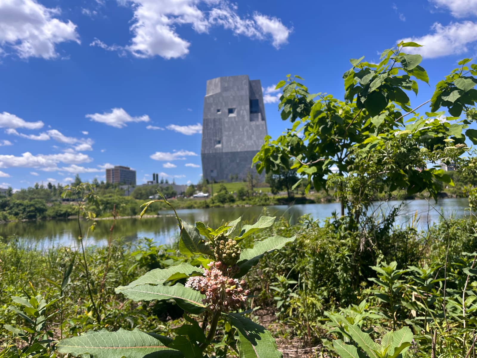 Join Women in Green at Obama Center Gardens 8/31 5-7PM