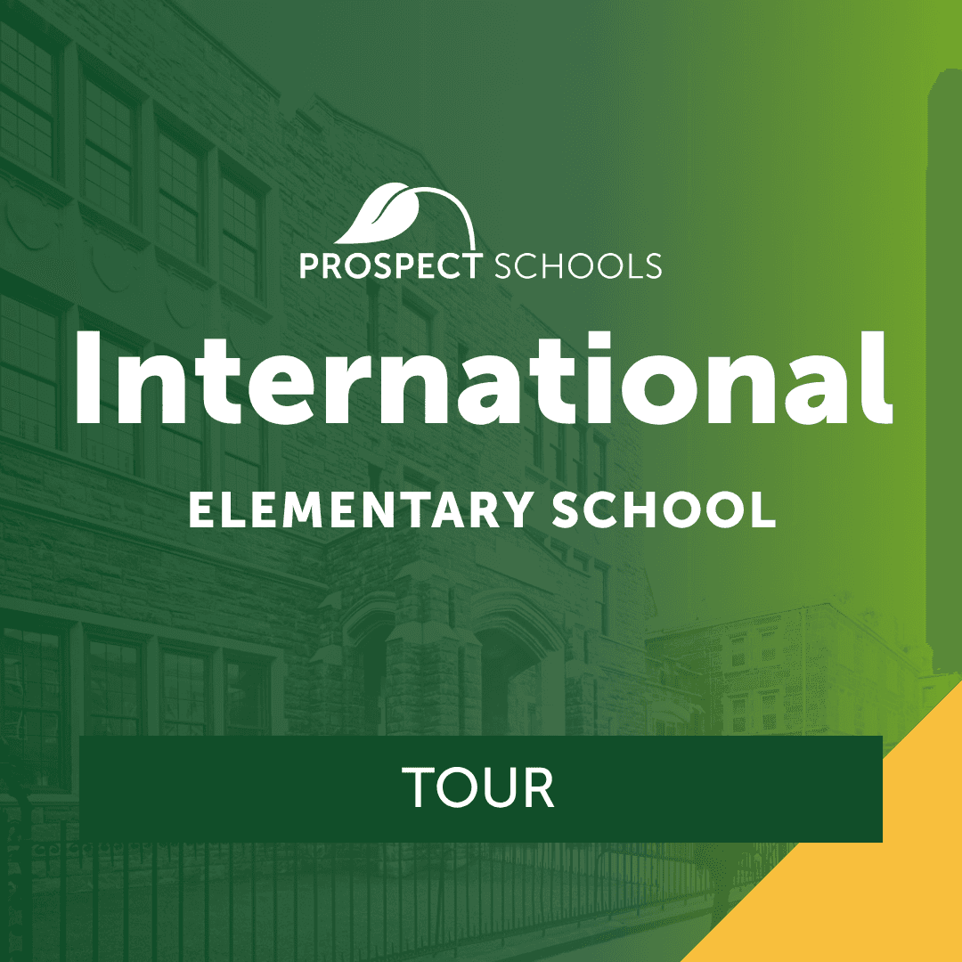 International Elementary School Tour