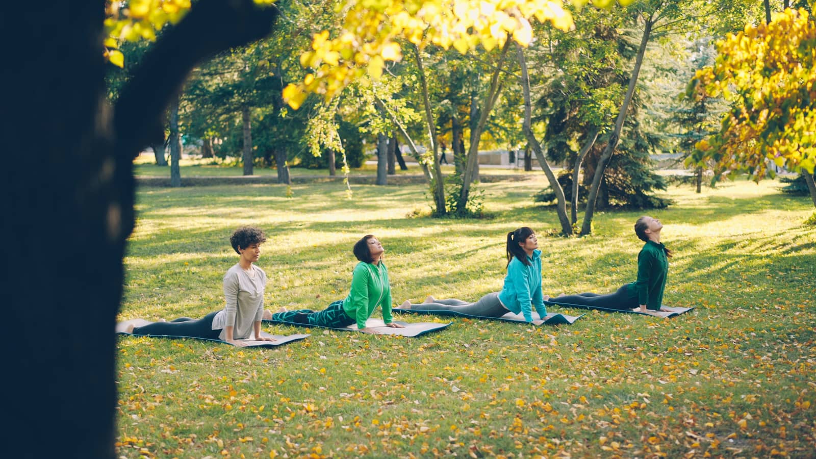 Kindred Brooklyn: Yoga, Meditation, and Light Breakfast in Prospect Park for Women Travelers, Sunday September 6th, 10am-12pm
