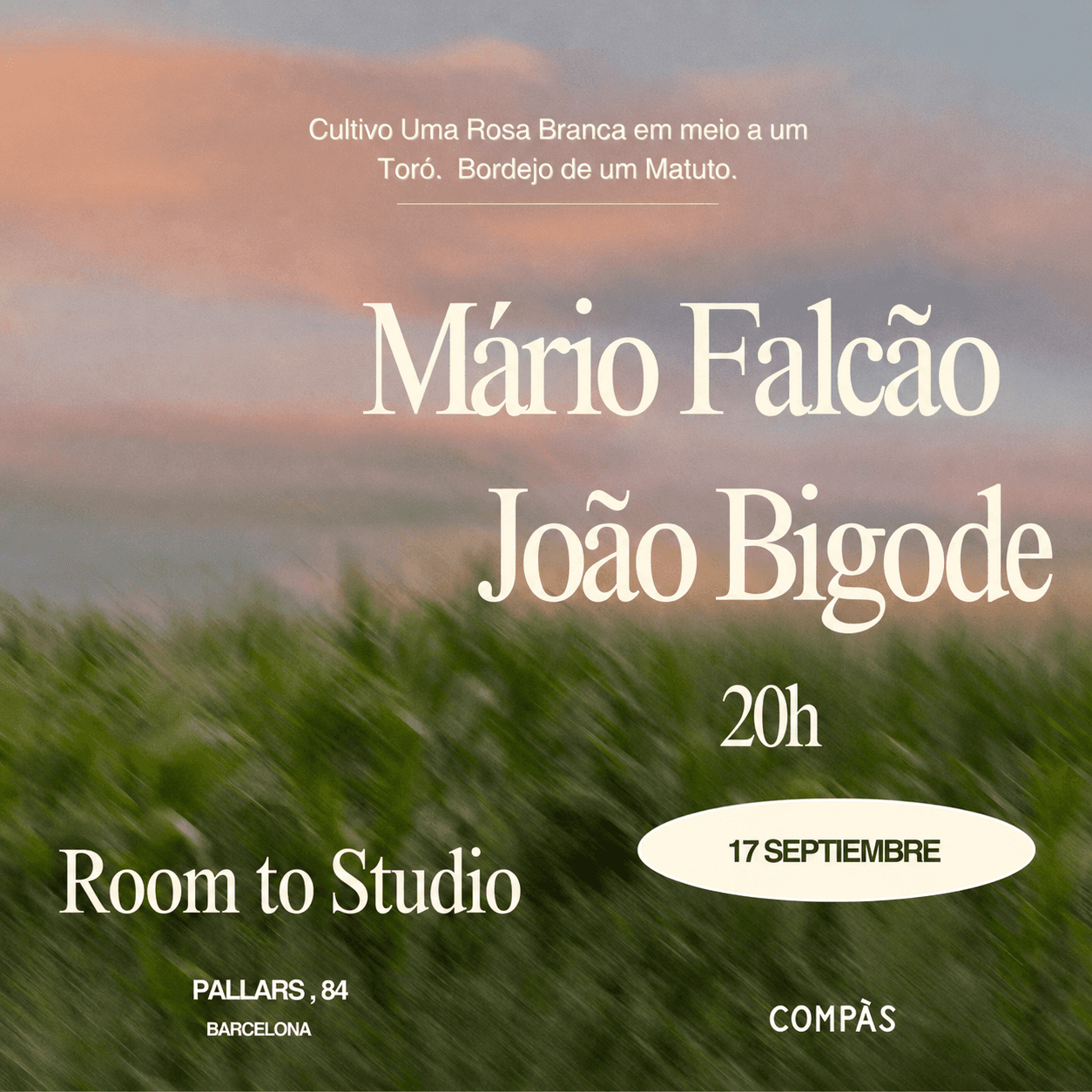 Concierto: Mário Falcão + João Bigode
