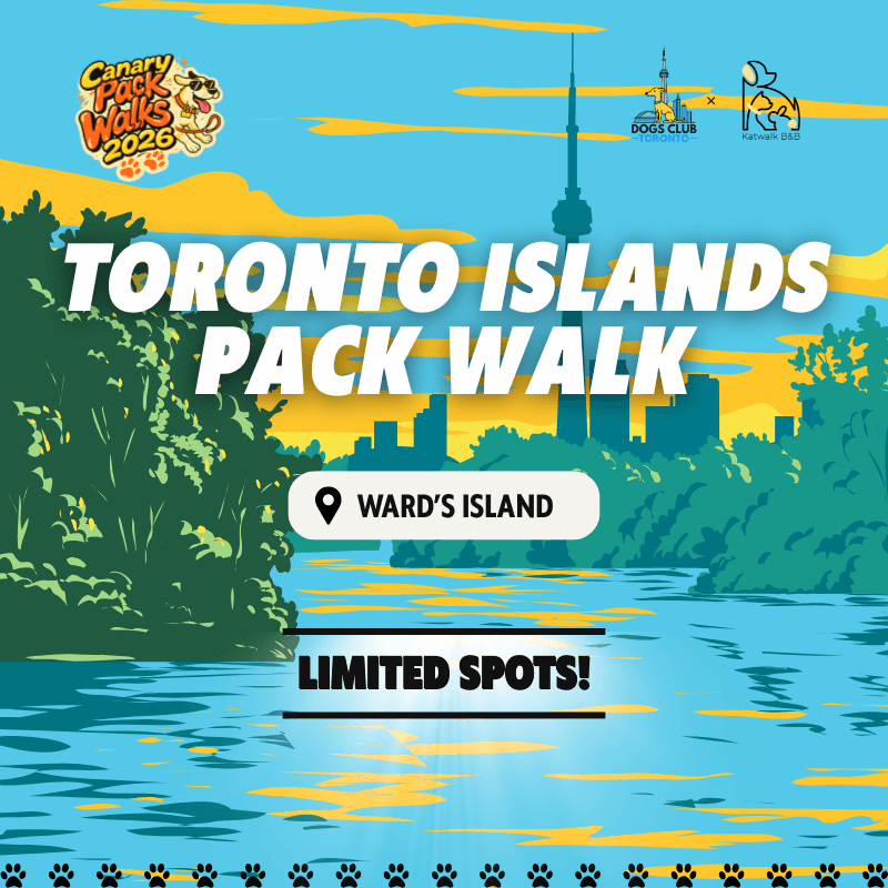 Toronto Islands Pack Walk - August 8th