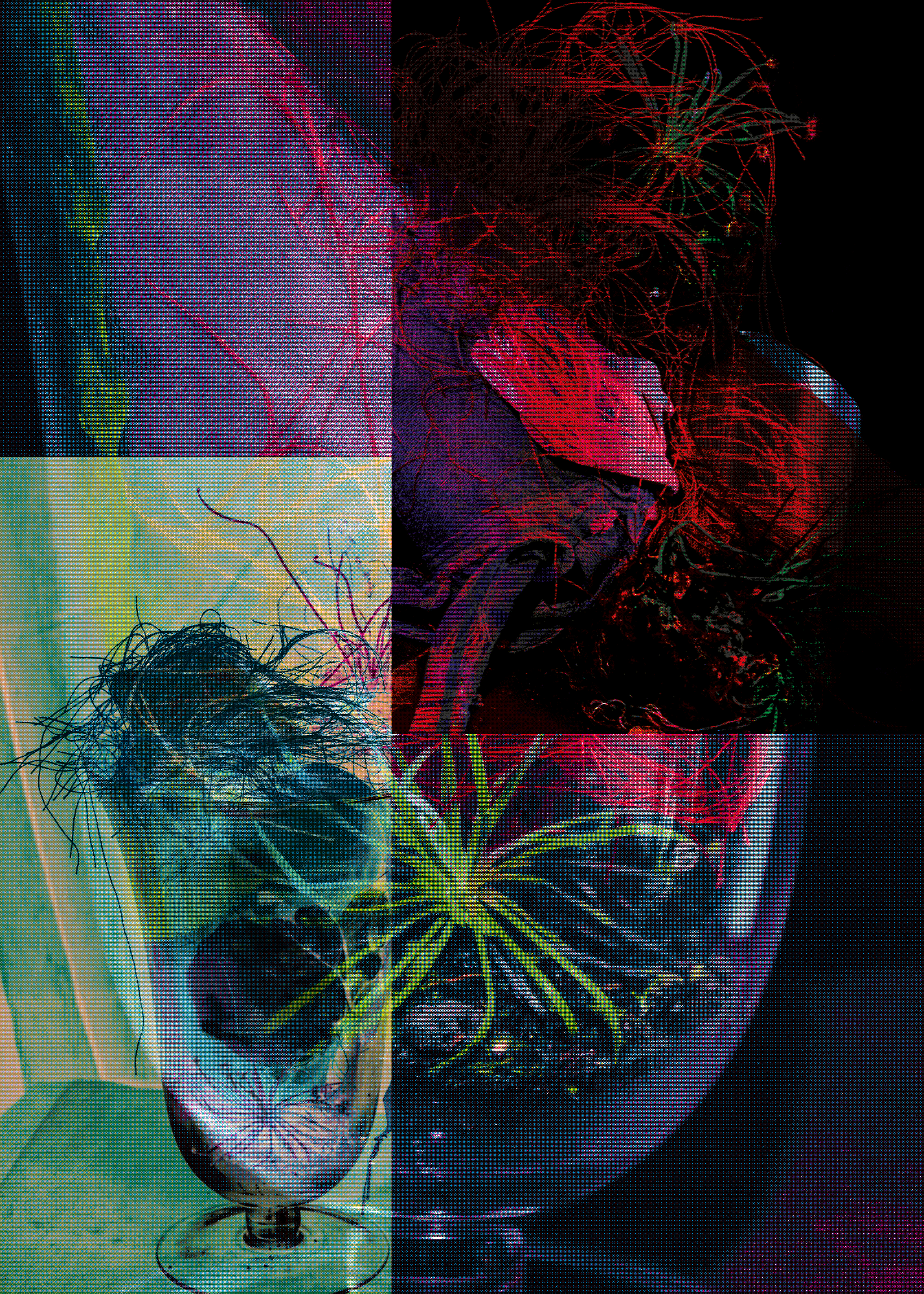 UNNATURAL SELECTION - ZINE WORKSHOP