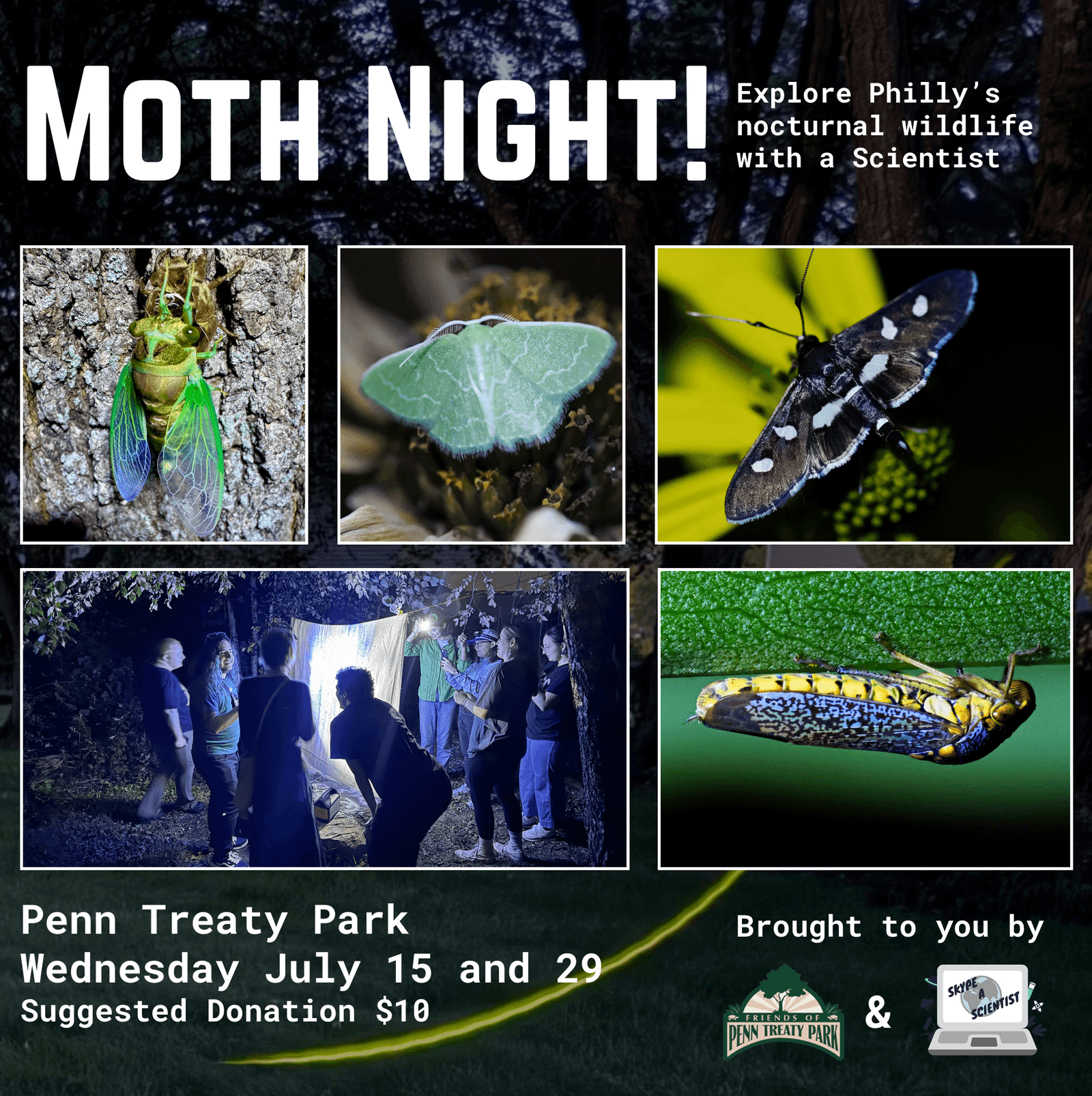 Moth Night at Penn Treaty Park