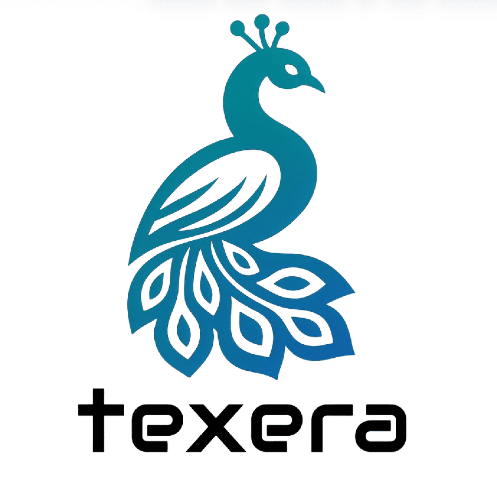 NSF BRIDGE & Apache Texera Meetup