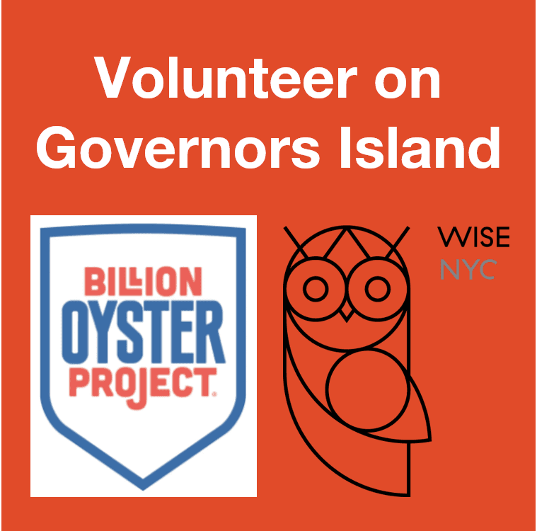 WISE-NYC: Volunteer on Governors Island with Billion Oyster Project