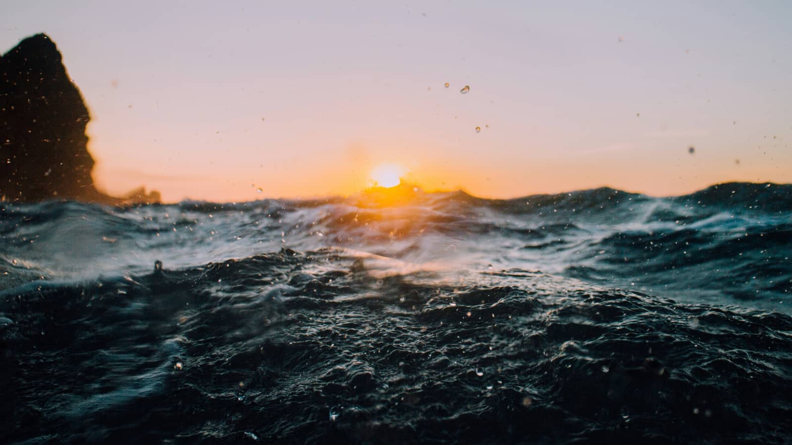 Ocean Impact Storytelling | Coffee & Conversation