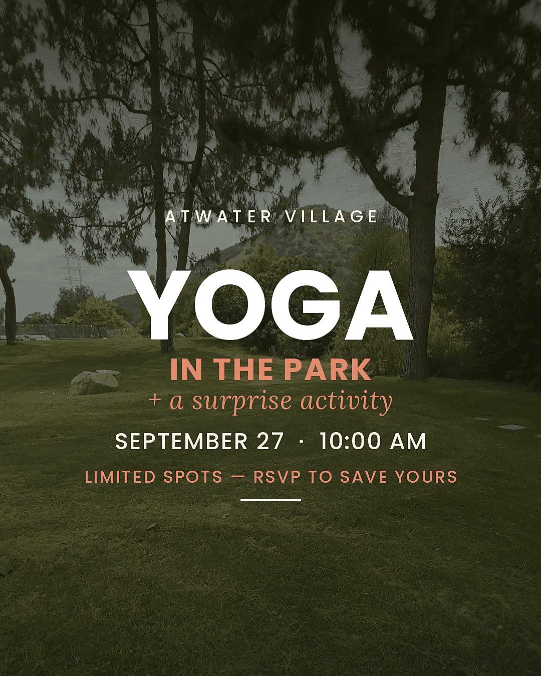 Atwater Village Yoga in the Park + Activity