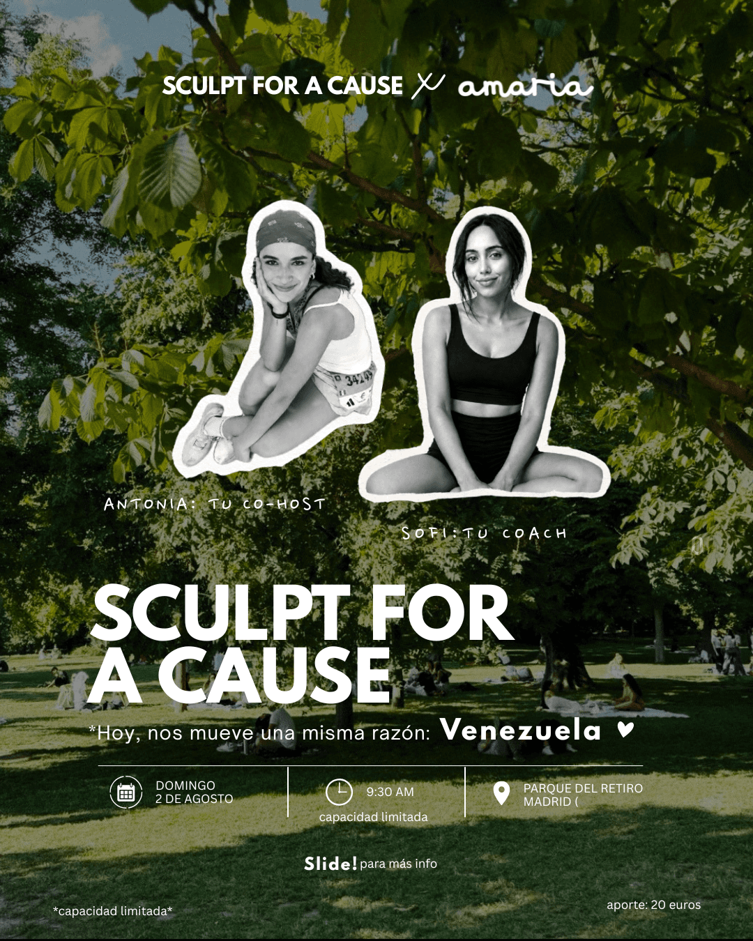 Sculpt for a Cause