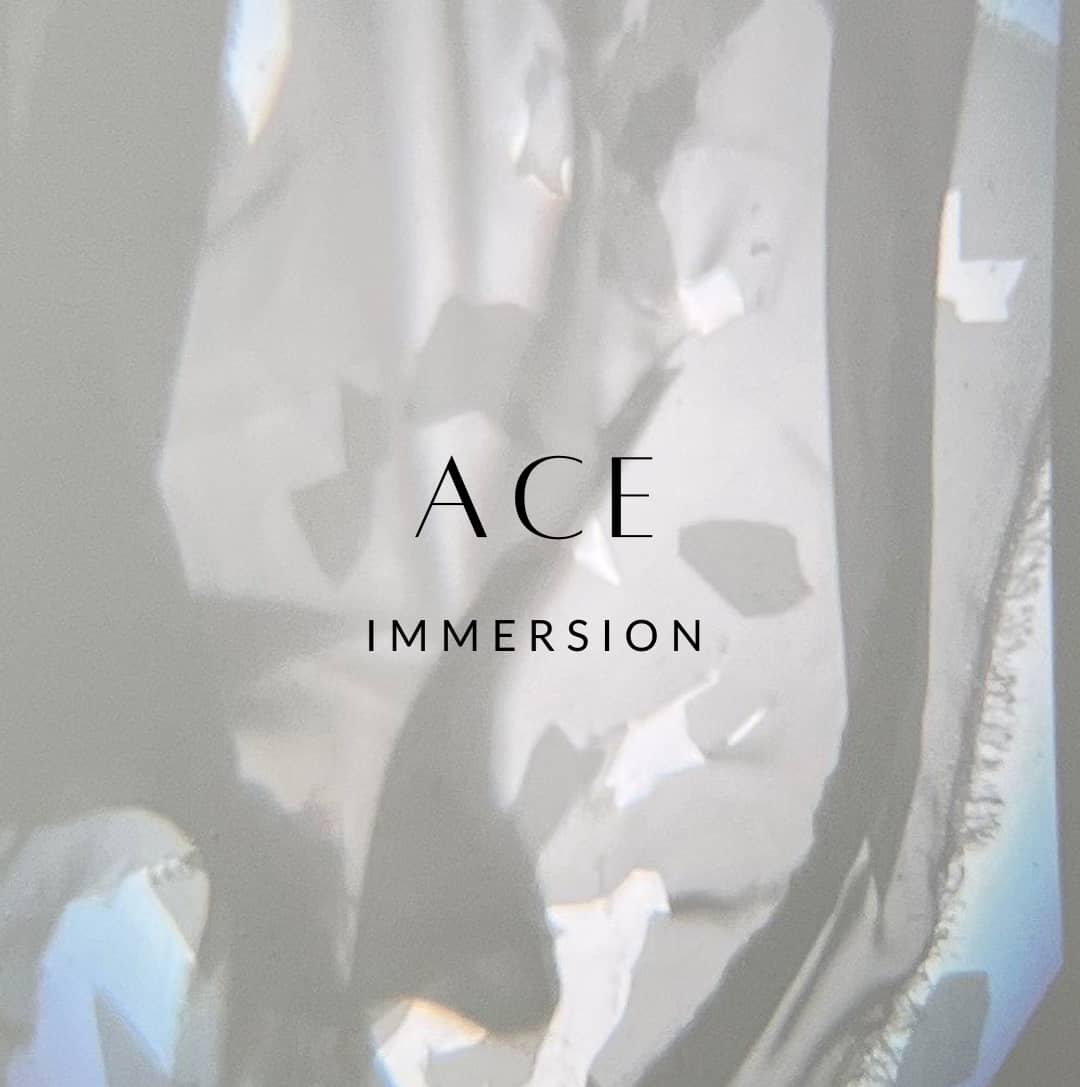 ACE IMMERSION EXHIBITION