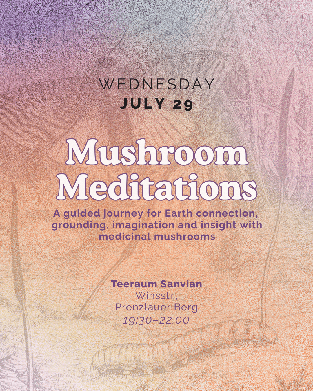 Mushroom Meditations: A guided journey for Earth connection, imagination and insight