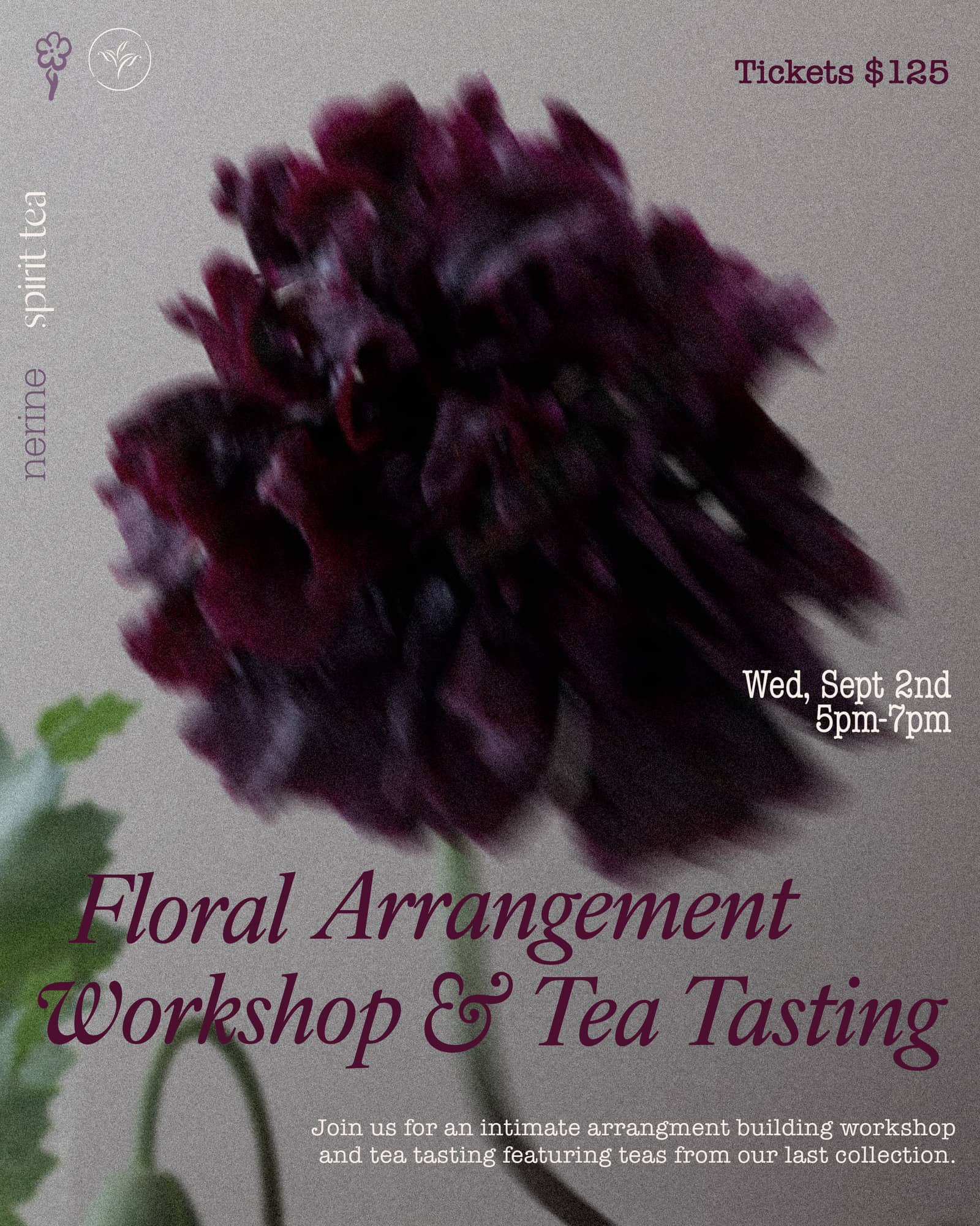Floral Workshop & Tea Tasting with nerine + Spirit Tea