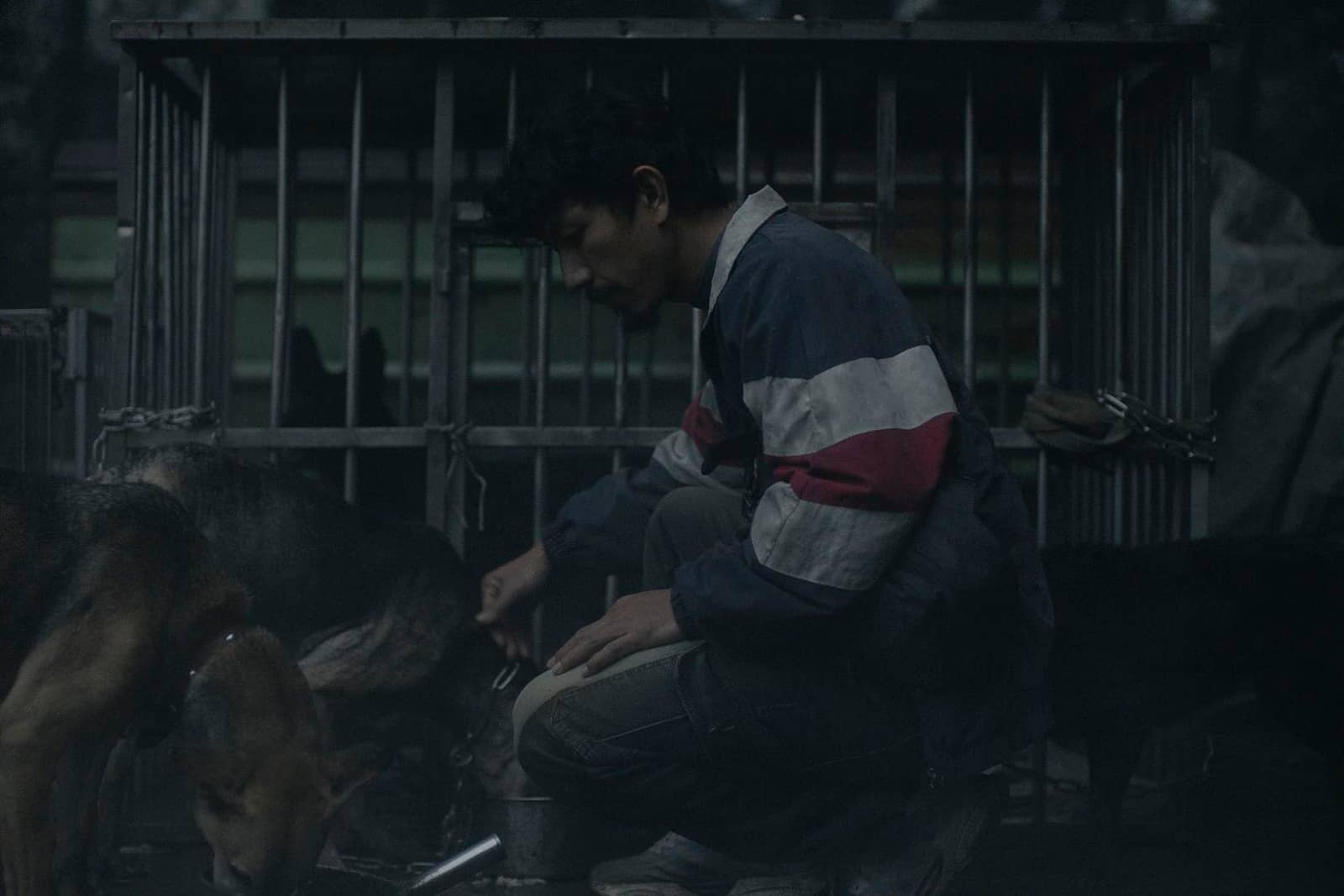 【tffBerlin 2026】Mongrel 白衣蒼狗