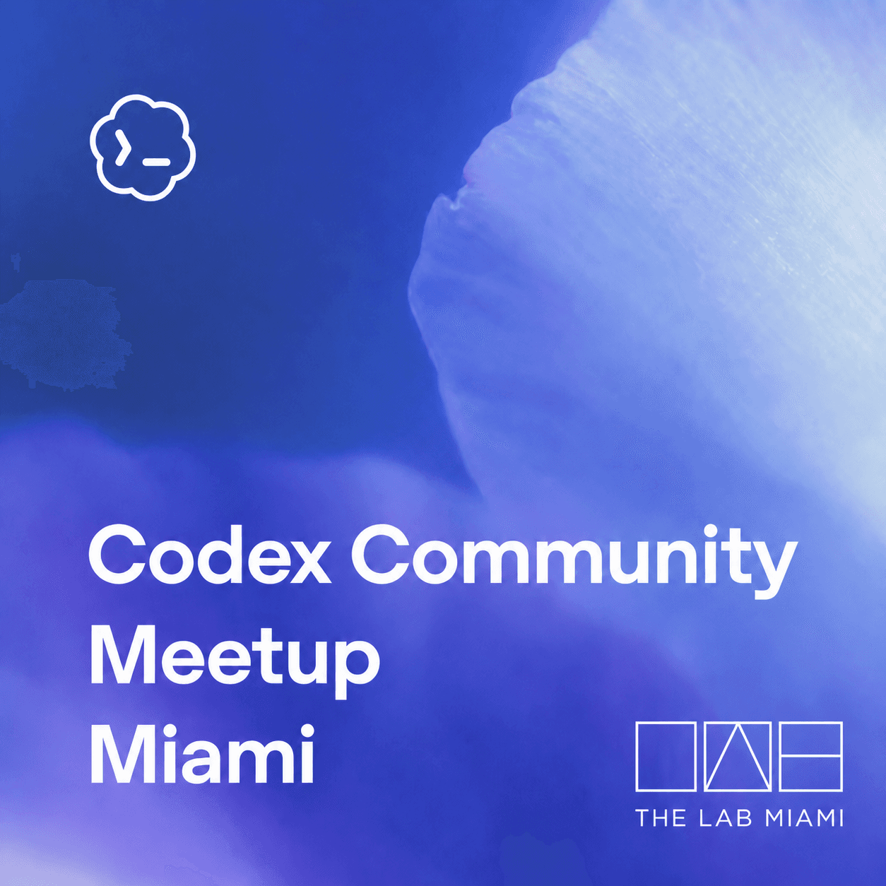 Codex Community Meetup – Miami