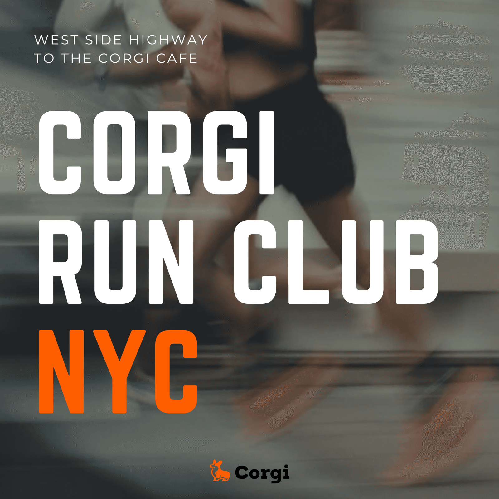 Corgi Run Club NYC
