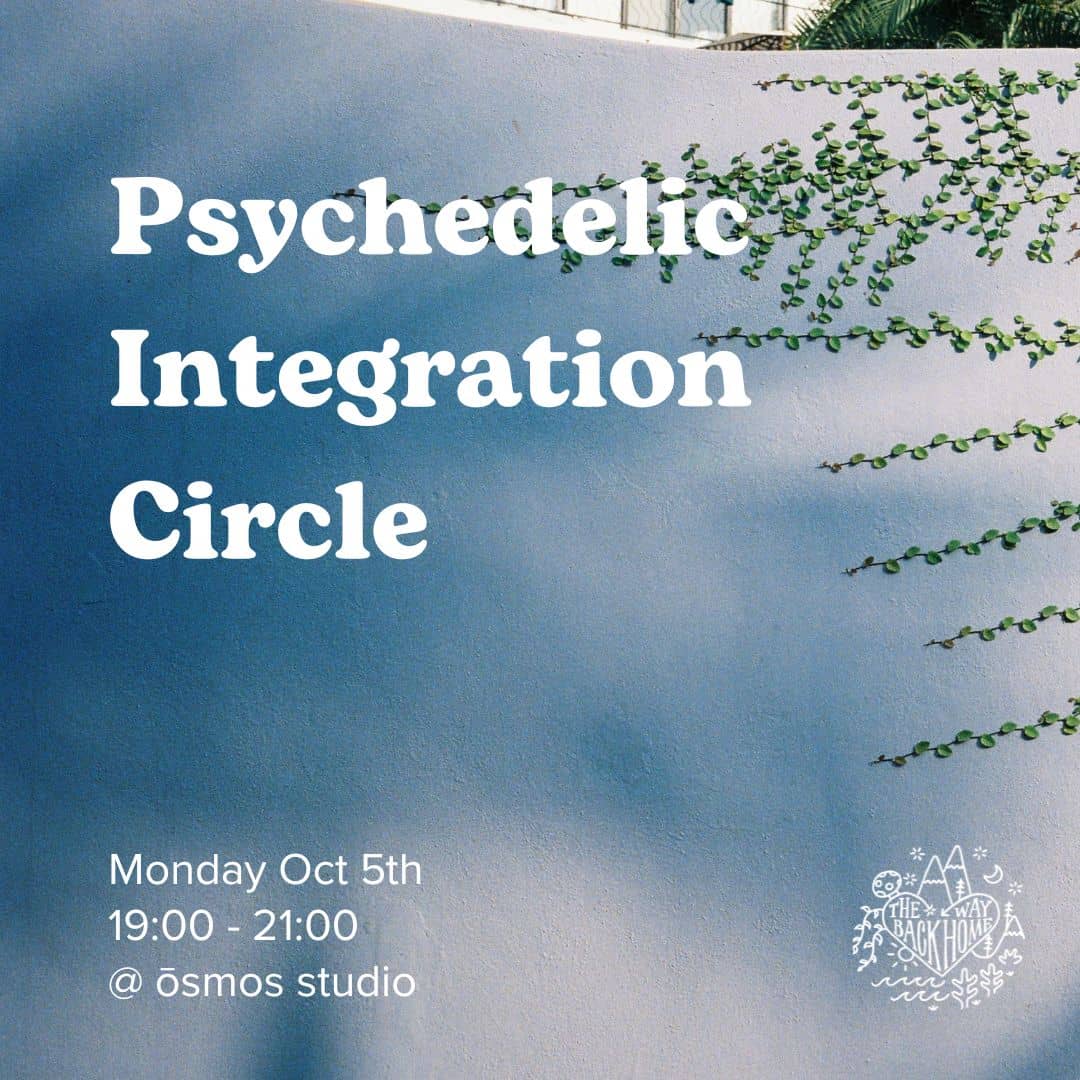 Integration Circle: Embodying the experience and integration