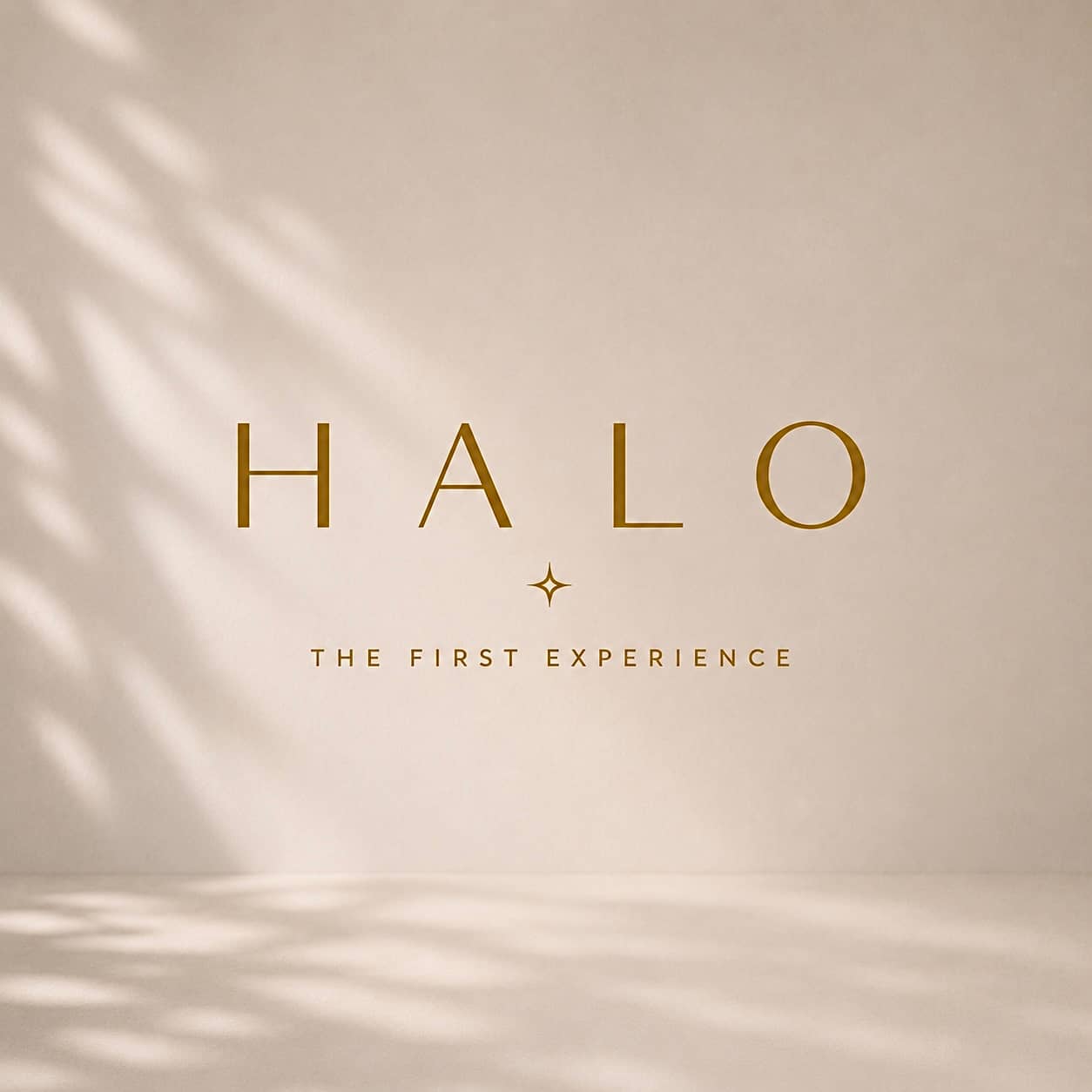 HALO: The First Experience