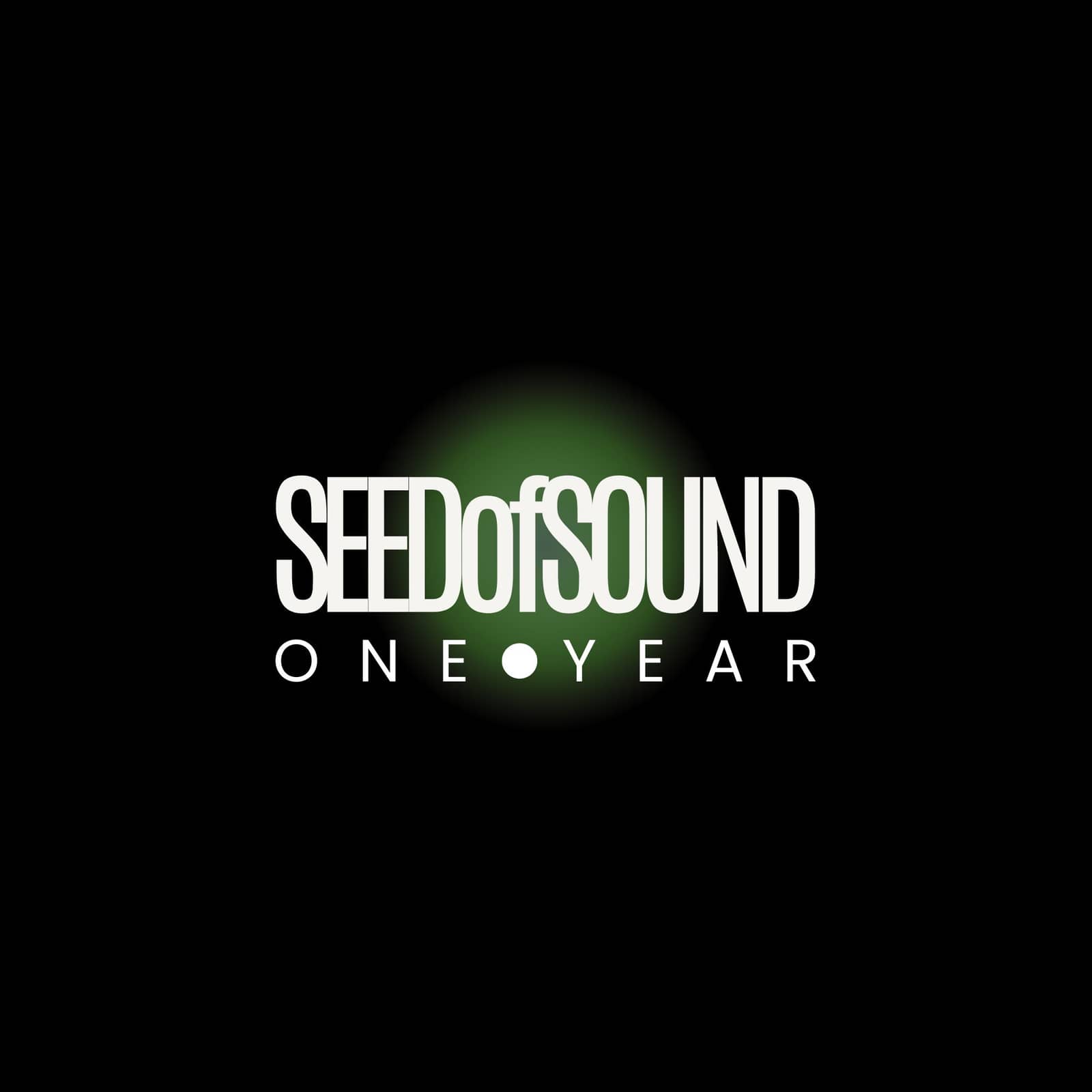 SEEDofSOUND: One Year