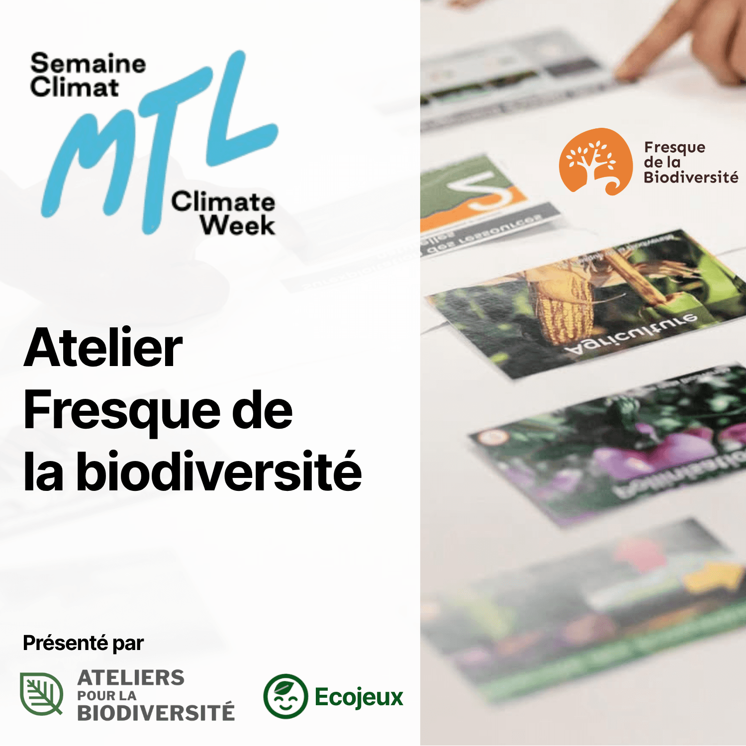 Atelier collaboratif « Fresque de la biodiversité » : Comprendre et agir pour la biodiversité