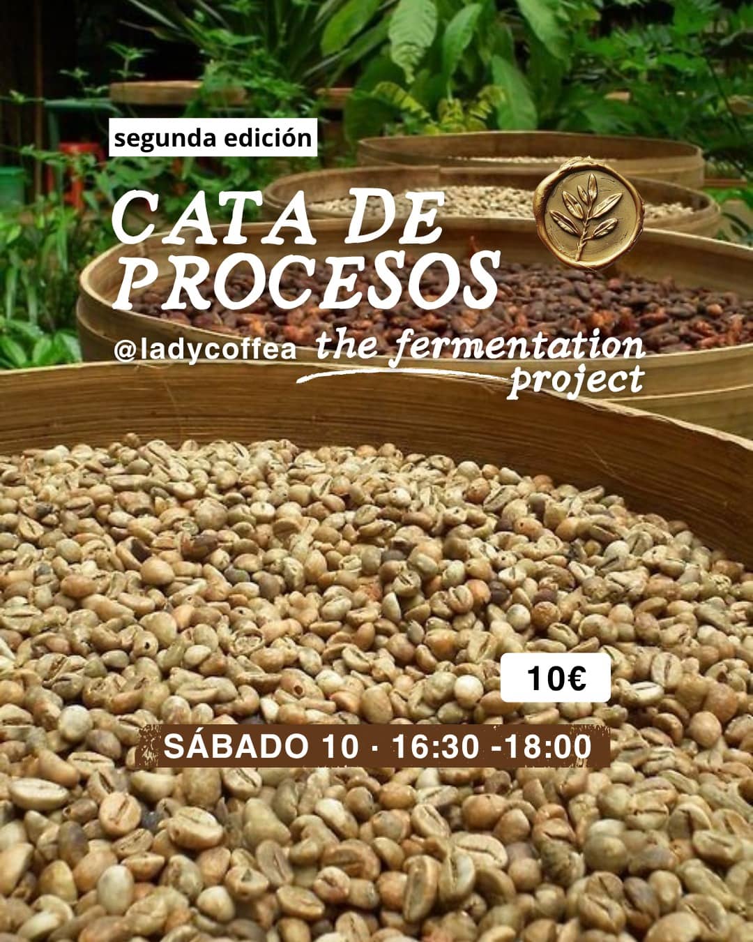 Cata procesos - the fermentation project