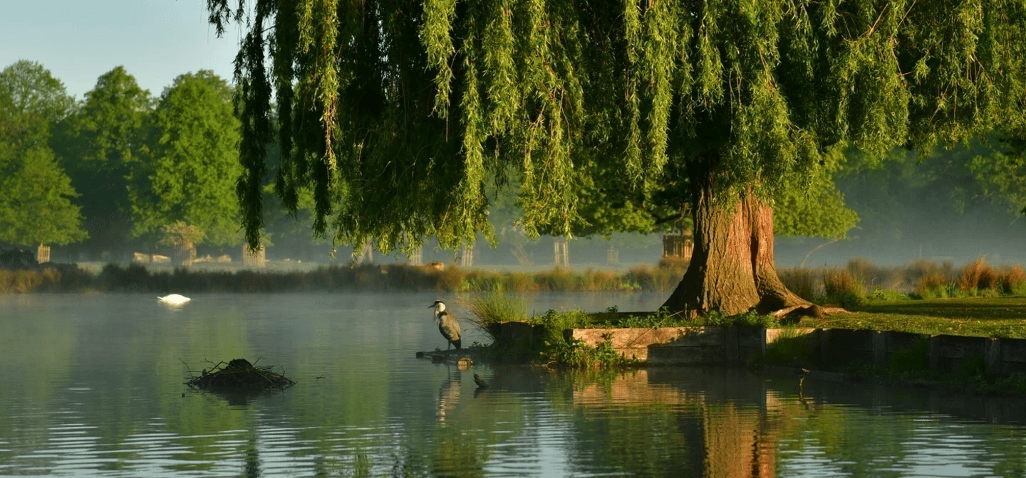🌳Offline Women Explore the Royal Parks: Bushy Park