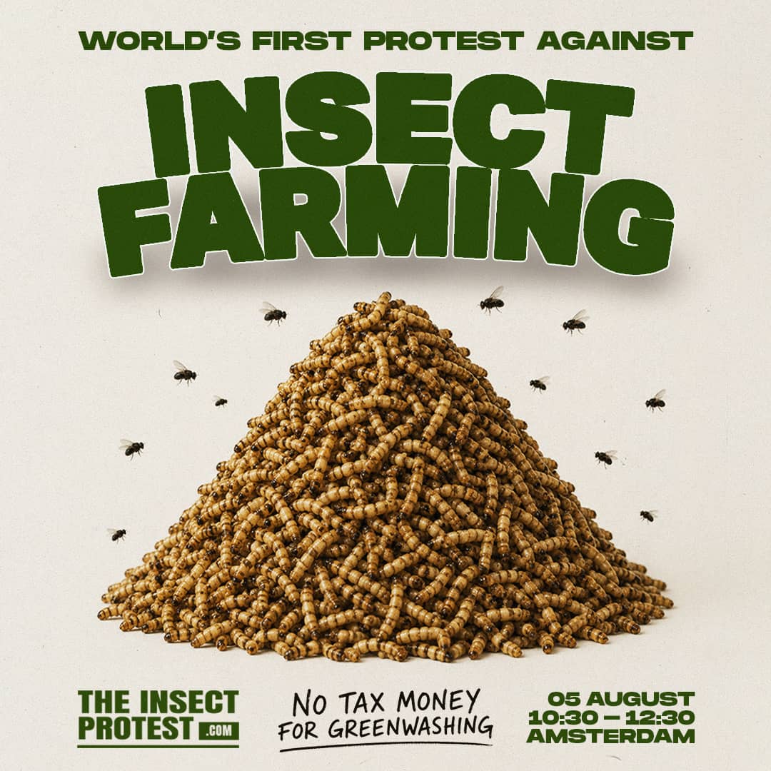 The world's first protest against insect farming