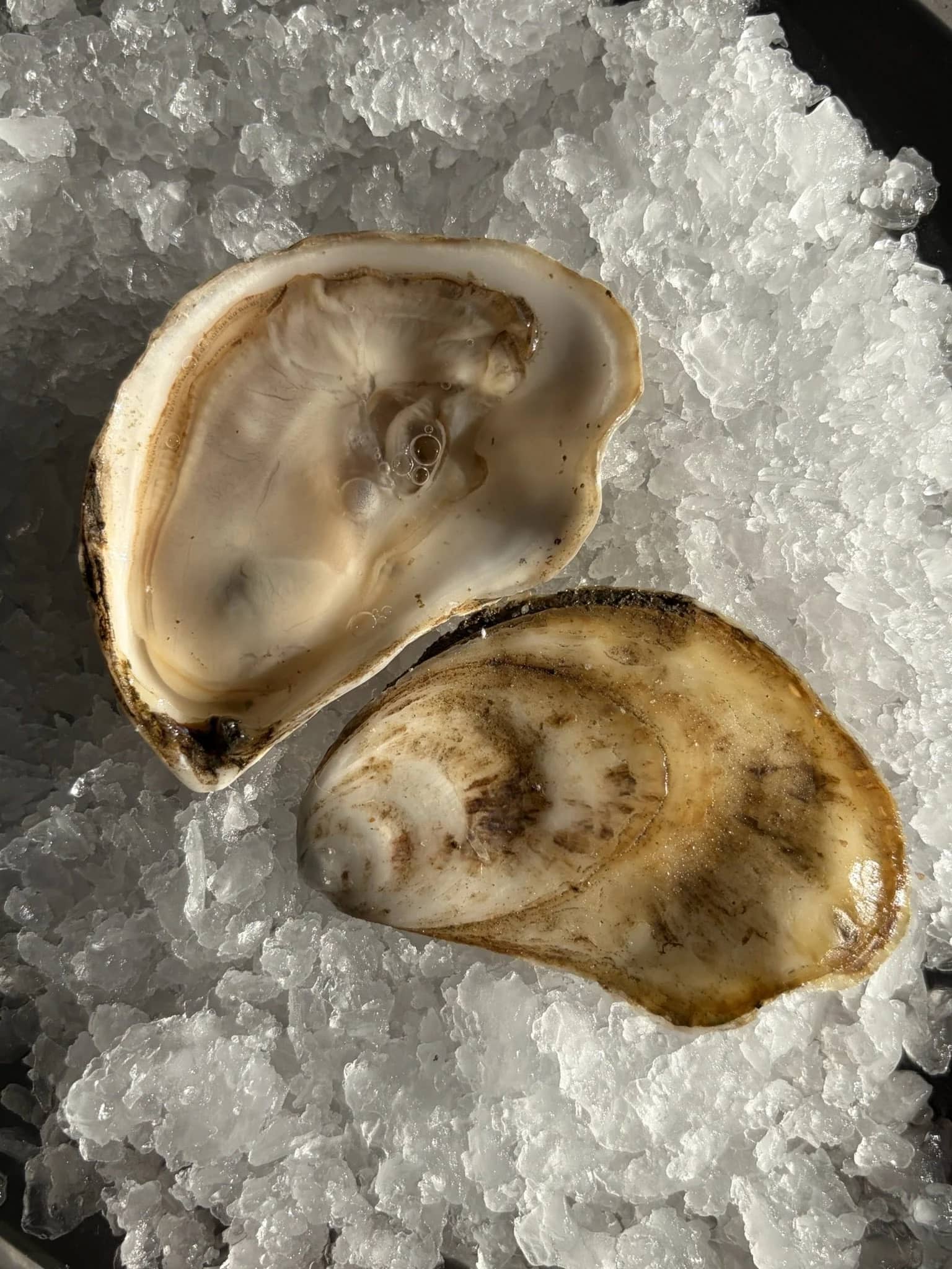 Aug Oyster Happy Hour @ The Yard