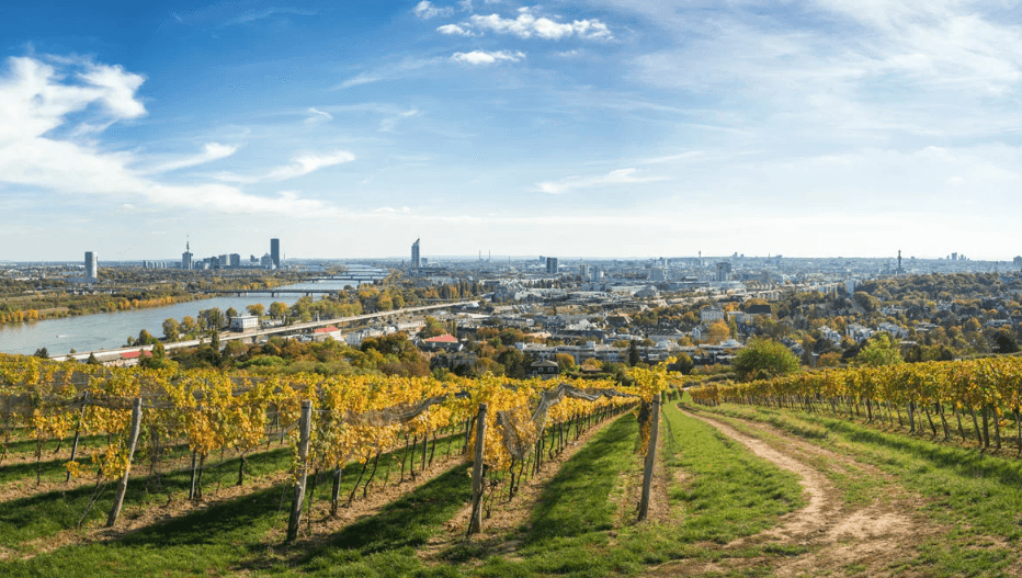 Weinwandern
