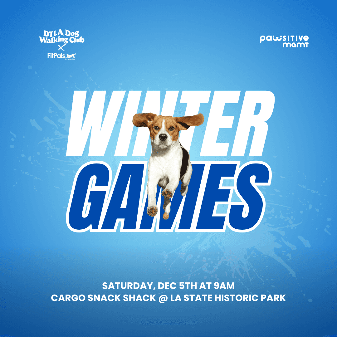 DTLA DOG WALKING CLUB × PAWSITIVE MGMT — WINTER GAMES 2026